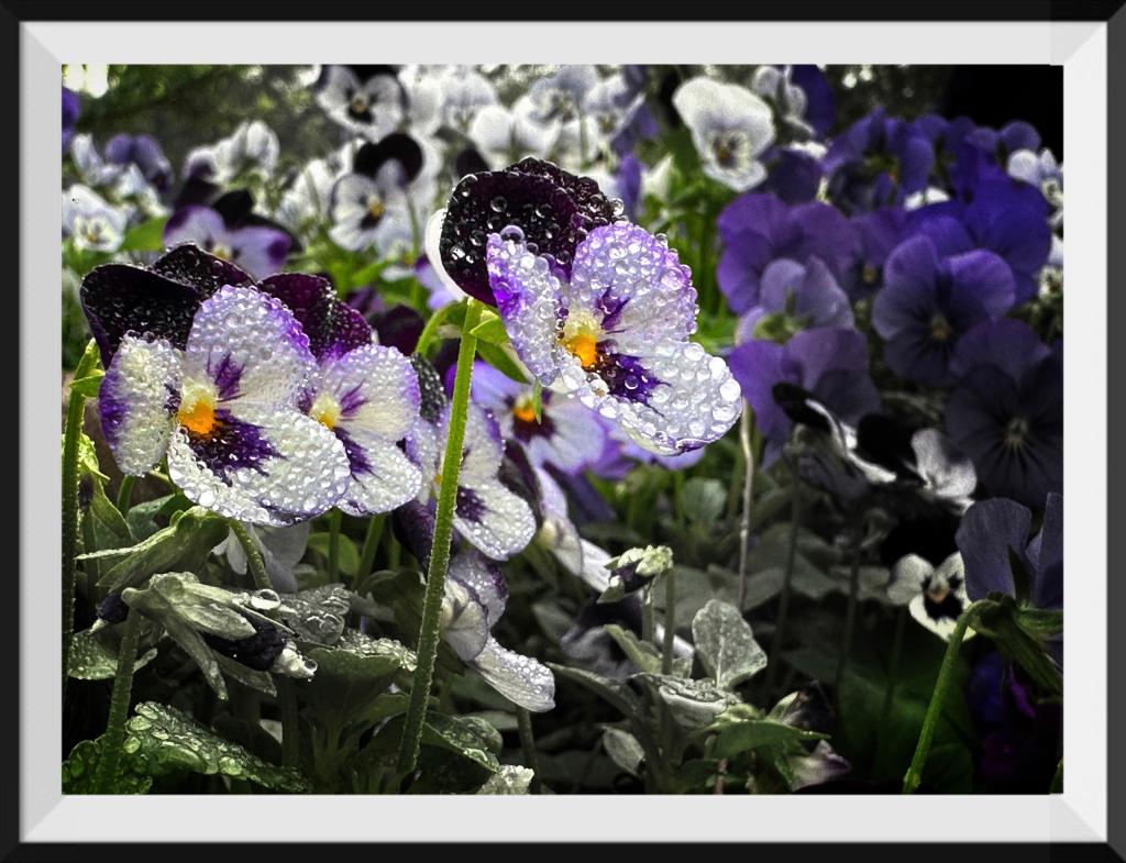 undefined undefined